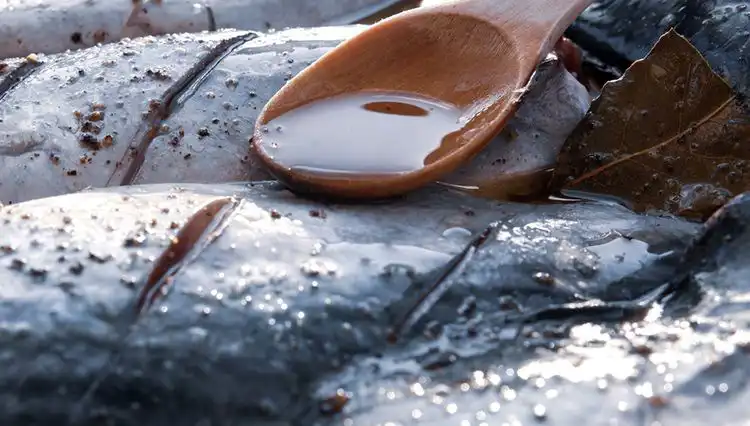 78 Yaşındaki Doktorun Sırrı: Gençleşmenin Yolu Bu 7 Besinde Gizli