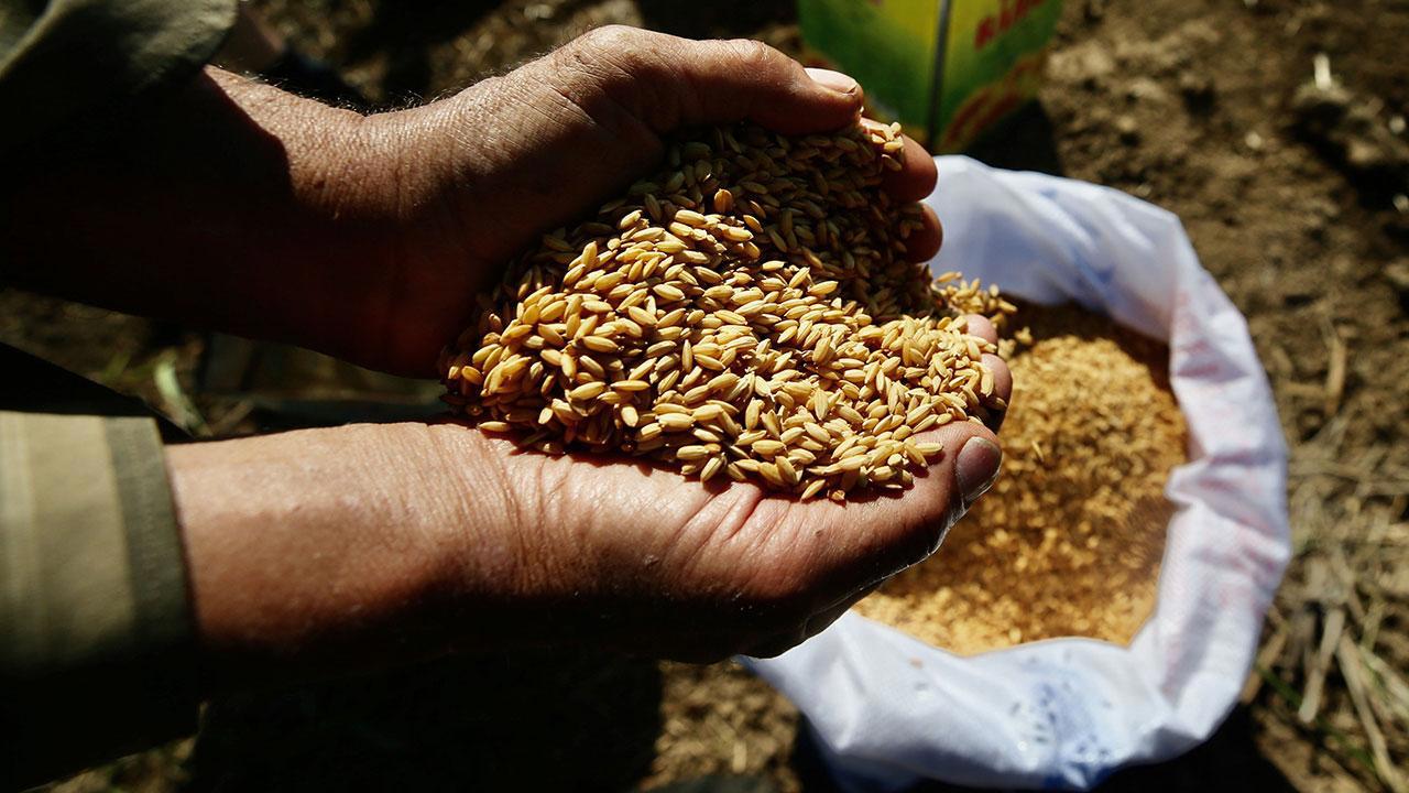 Ata Tohumları Artık Tarım Kredi Marketlerinde de Satılmaya Başlıyor