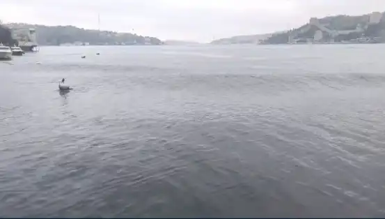 İstanbul'da Şok Eden Deprem: 6,2 Büyüklüğündeki Sarsıntı Denizleri Hareketlendirdi!