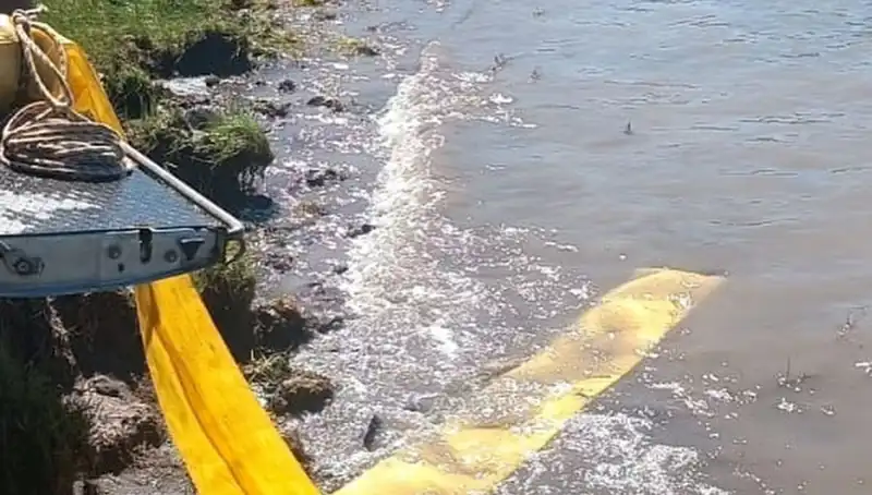 Göletlere Bırakılan Yavru Balıklarla Su Ekosistemi Canlanıyor