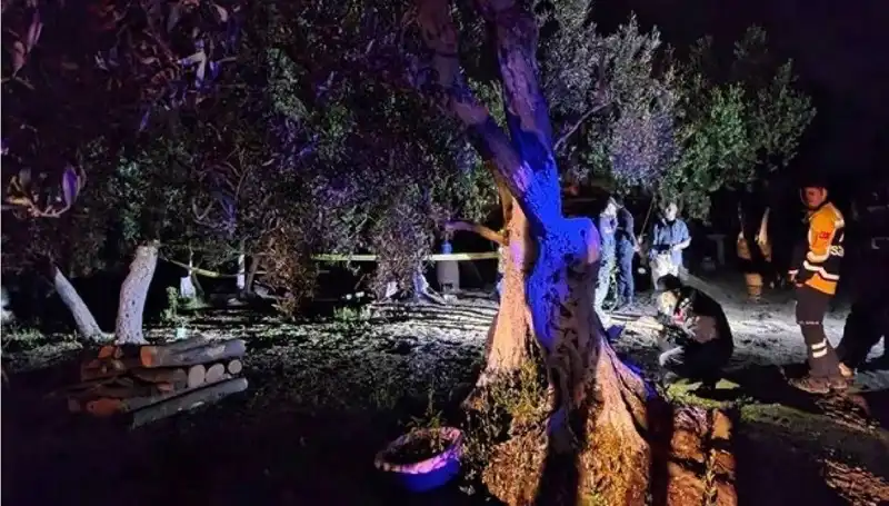 Çiftlikteki Baltalı Vahşet: Olayın Ardındaki Gizemli İsim Tutuklandı