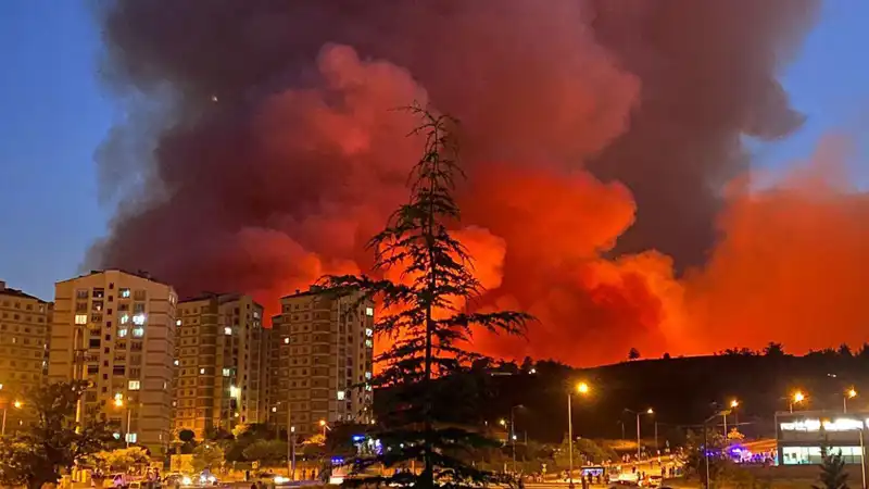 Bursa’nın Yangınları: Şehrin Dört Bir Yanını Saran Felaket!
