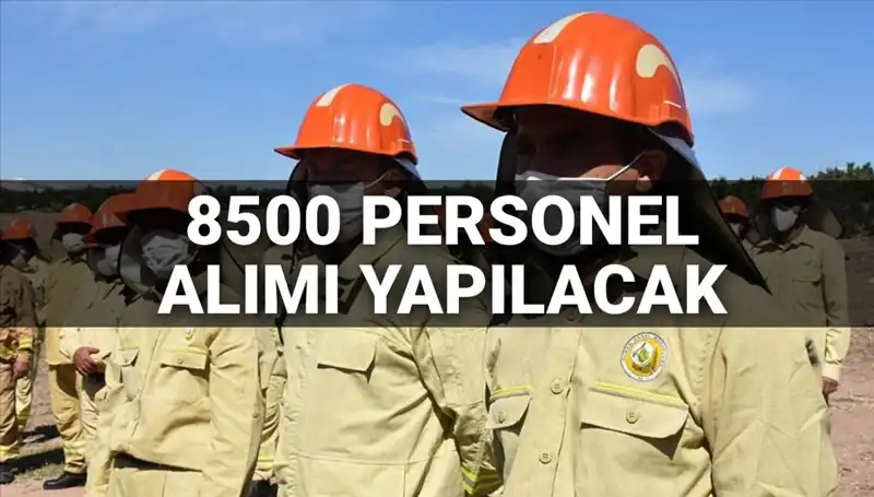 2025 Yılı İçin Tarım ve Orman Bakanlığı 8500 Personel Alımında Son Durum Nedir?