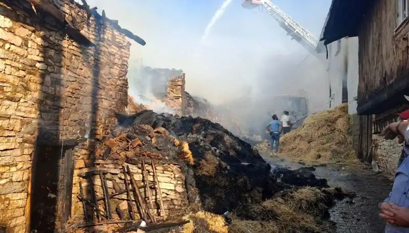 Yürekleri Yakan Olay: Köydeki Yangında 4 Ev Küllere Karıştı