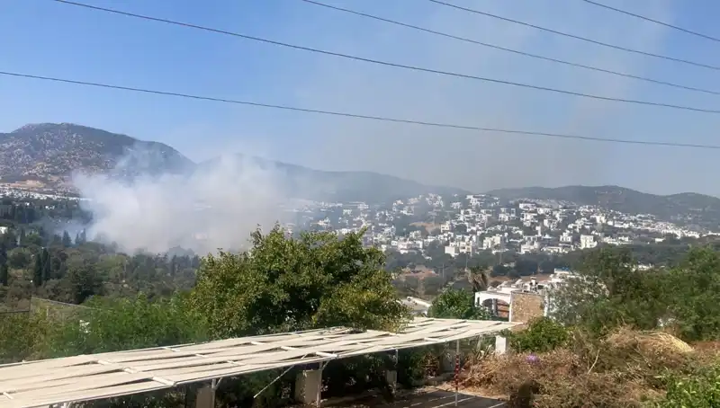 Muğla'da Orman Yangınları: Kontrol Altına Alındı, Çalışmalar Sürüyor!