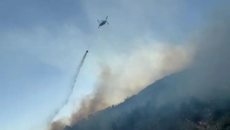 Söke'deki Orman Yangını: Hızla Kontrol Altına Alındı, Ekipler İş Başında!