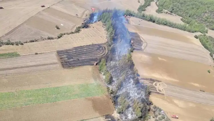 Adana'da Yangın Alarmı: Orman Alev Alev! Neler Oluyor?