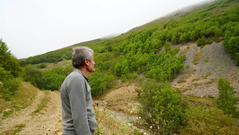 Gümüşhane'den Sıfırdan Ormana: Emekli İmamın 50 Bin Ağaç Projesi