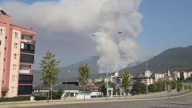 Denizli’de Yangın Şüphesi: Orman Alanları Tehdit Altında!