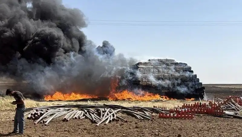 Mardin'de Anız Yangını: Tarım Arazilerine Zarar Veren Korkutucu Olay